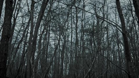 JOHNNY THE BOY - Crossings (official music video)