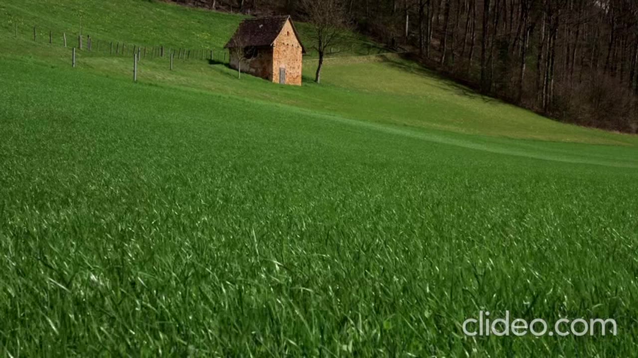 OS MELHORES DESENHOS 2025 COMPLETO 1.mp4
