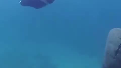 WORLDS FIRST UNDERWATER JETPACK