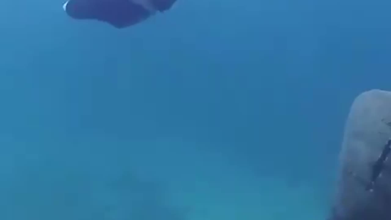 WORLDS FIRST UNDERWATER JETPACK