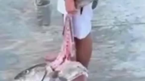 💋Feeding Frenzy of Sharks