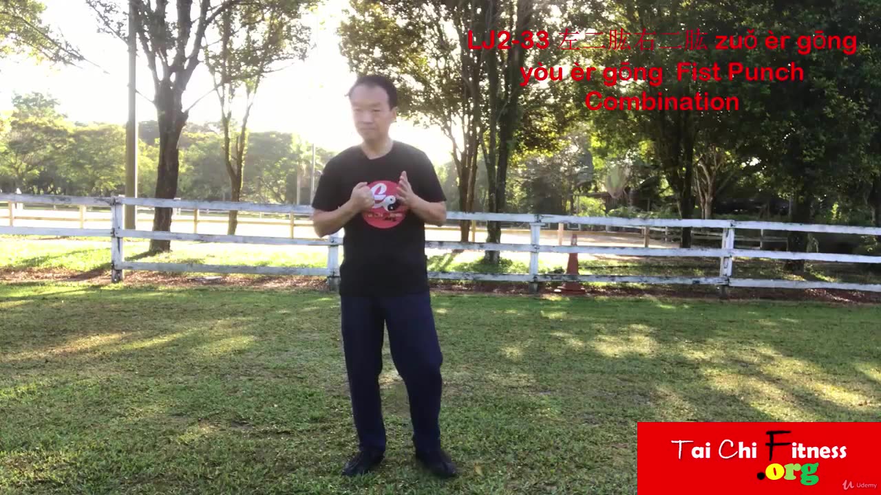 Aerobic Tai Chi Workout-035-Fist Punch Combination