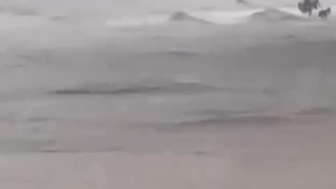 Massive Flooding, Australia, 01/12/2026