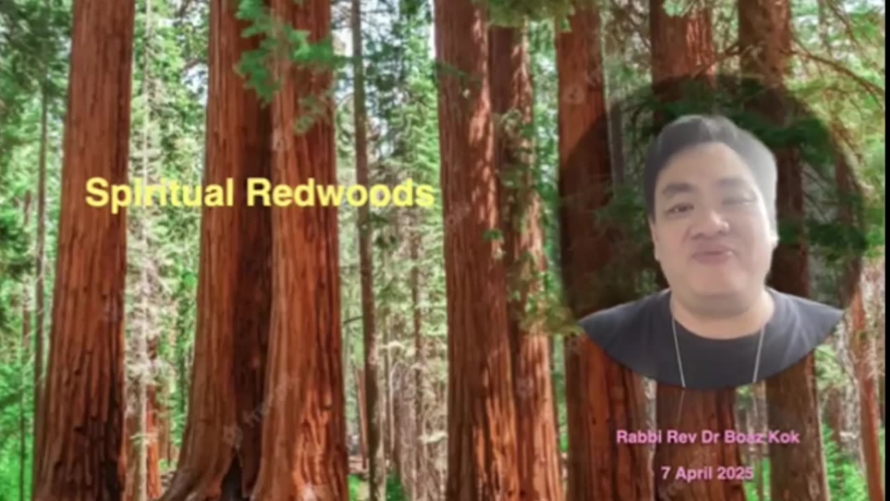 Devotional 365 - Spiritual Redwood!
