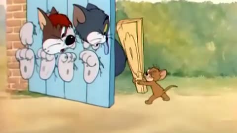 Tom and Jerry - Suffering cats spanking