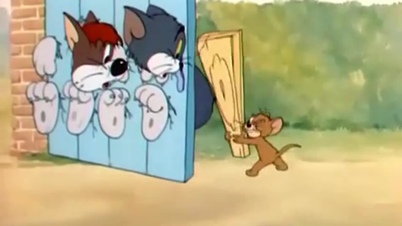 Tom and Jerry - Suffering cats spanking