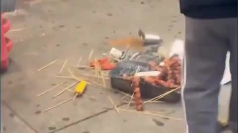 Mexicans fight over ecoil tacos