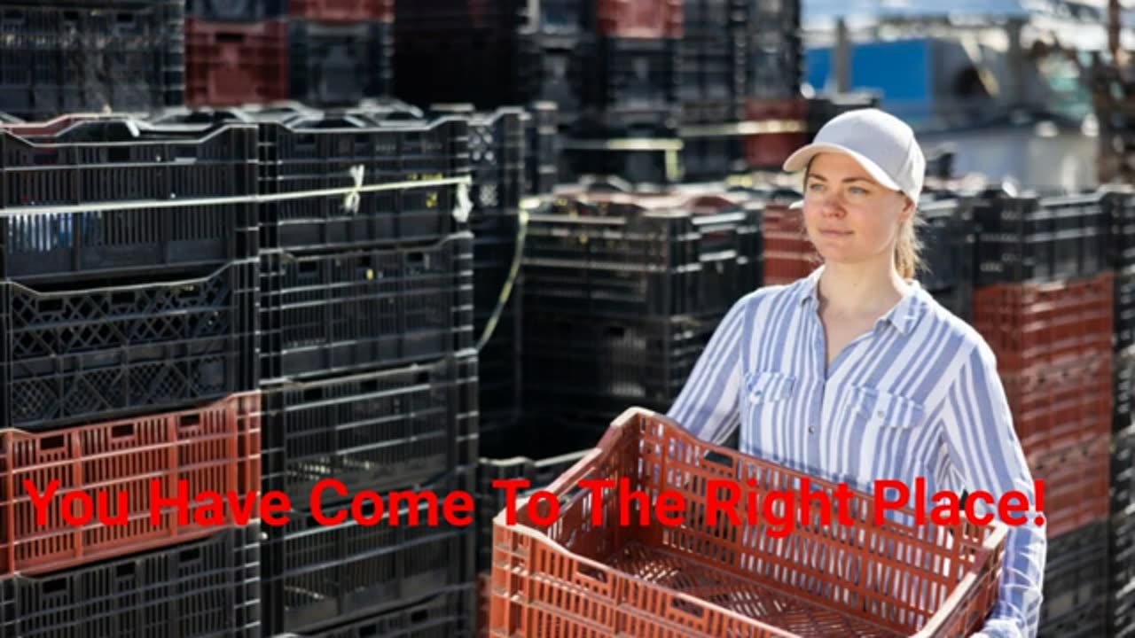 RentaCrate8 - Storage Crate Rental in Framingham, MA