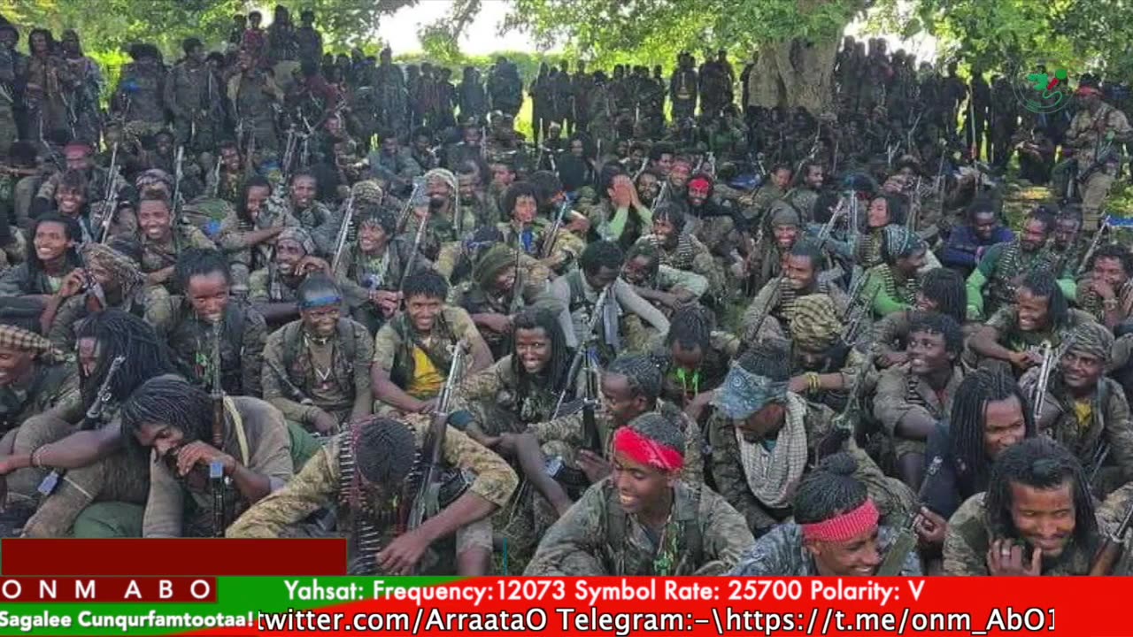 Gabaasa Tarkaanfii ONM-ABO Adoolessa 22-2025 itti dhiyaadhaa!