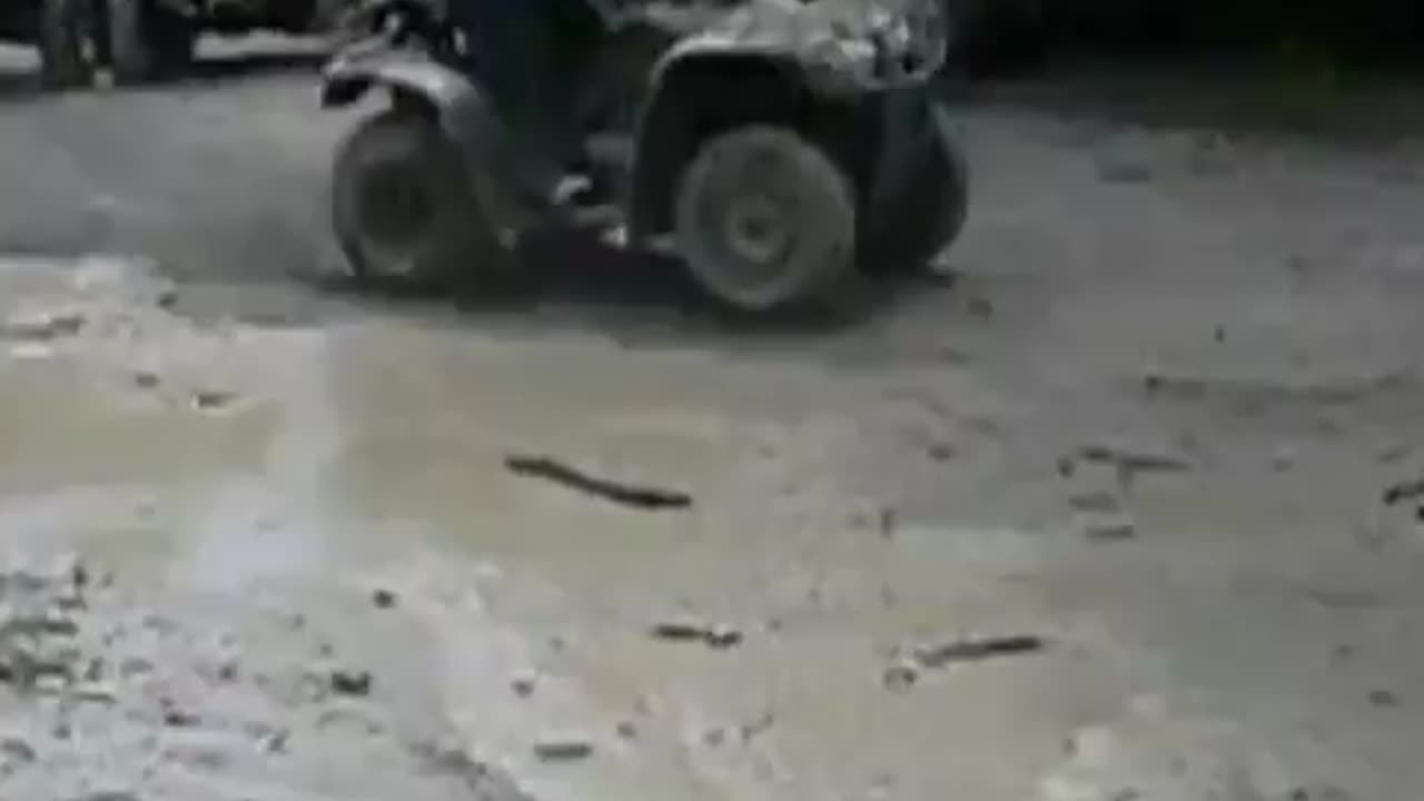 Oopsy!