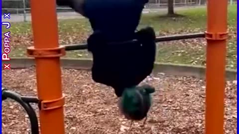 Mary-Go-Round 😵