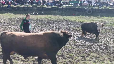 Cvijan Mihret Idrizović vs Peran Izudin Ahmetović