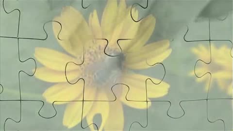Zeitgeist Addendum DVDRip
