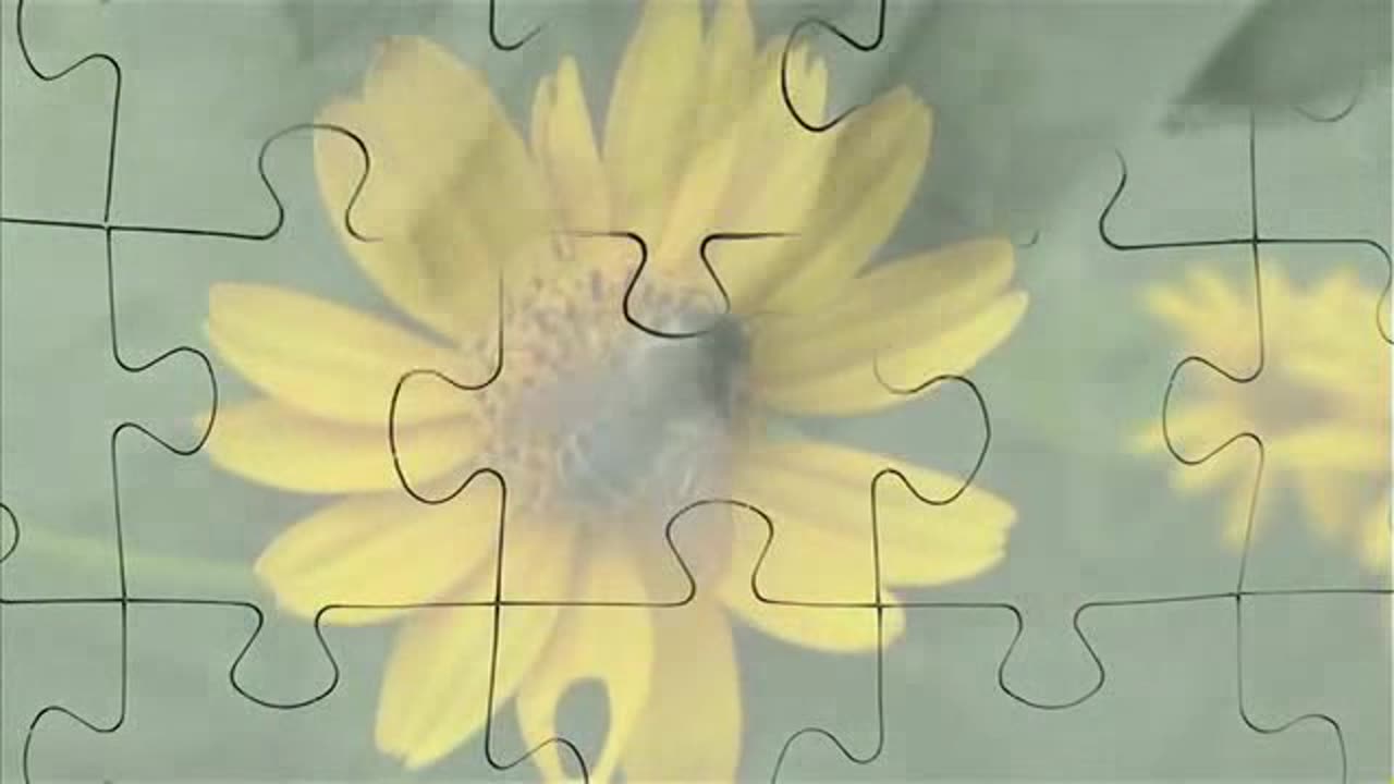 Zeitgeist Addendum DVDRip