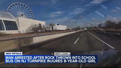 Medical Illegal alien arrested throwing Rock into school bus fractured child’s skull