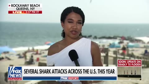Safety fears are rekindled by shark sightings in New York.