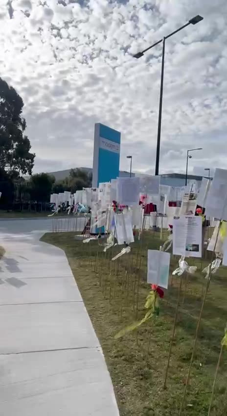 Forest of the fallen - Moderna, Melbourne