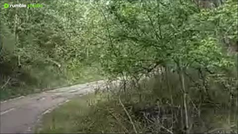 MUSIC LIVE Bike trail Walk Red Deer River