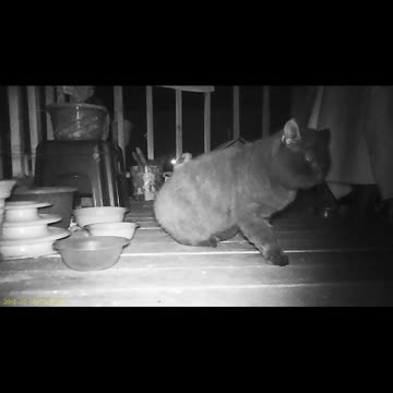 EA S145 - We Meet At Last