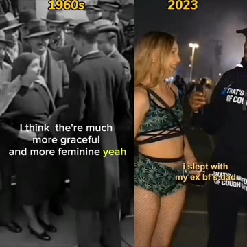 Proof that feminism destroyed society.