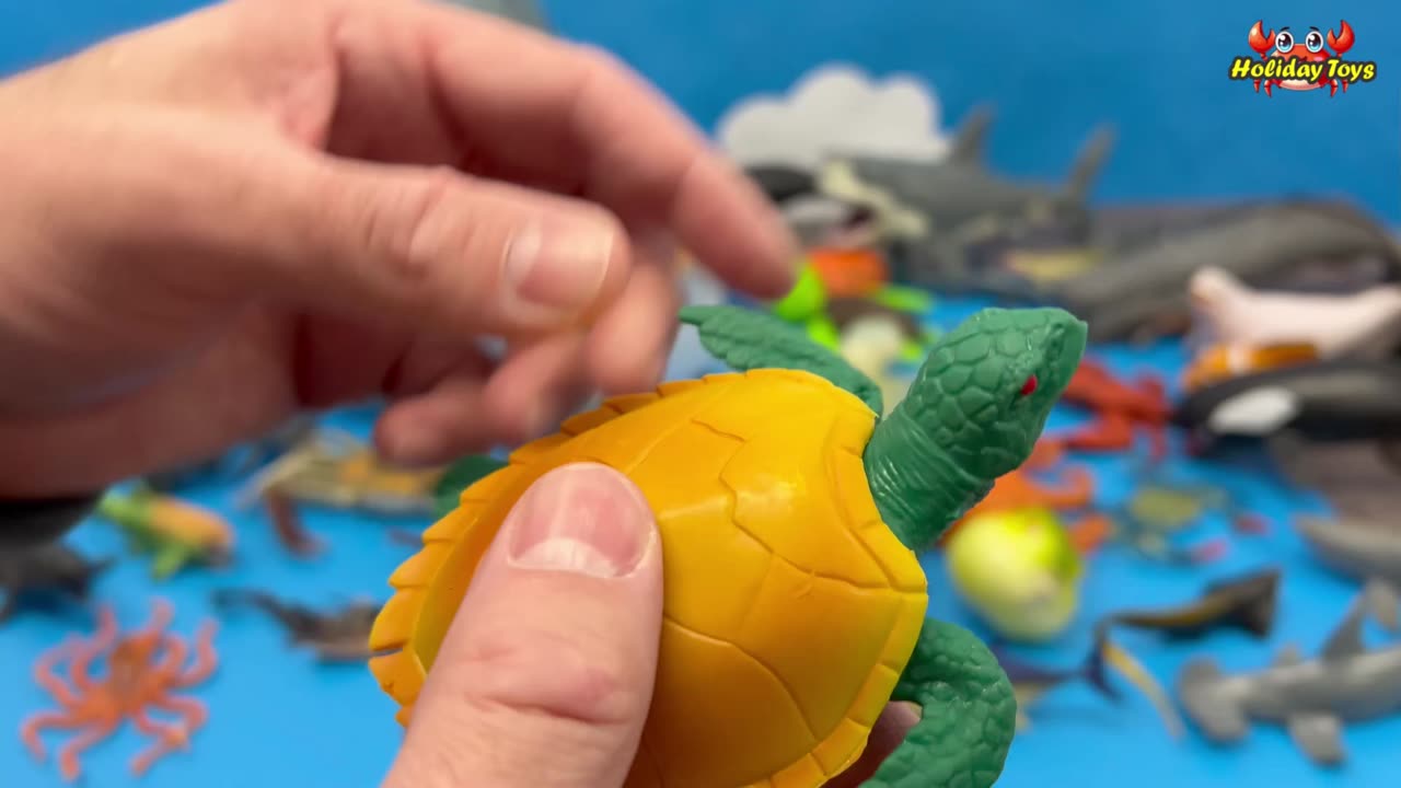 Green Turtles with Yellow Shells are very Rare to Find