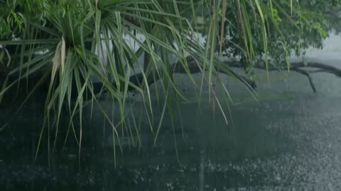 Secrets of Wild Australia: Series 1