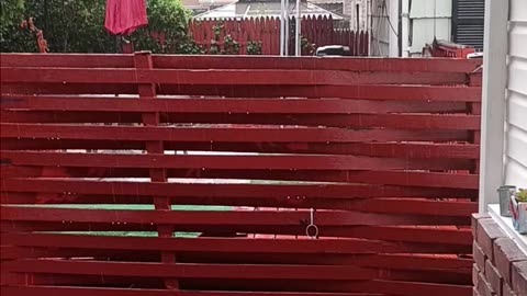 Torrential rains