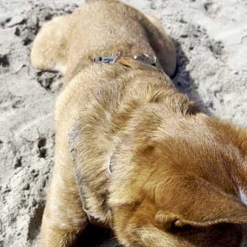 fun at the beach 29023098230984