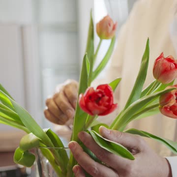 Click Link Here:https://136-96447.getresponsesite.com/