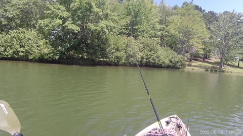 Missed 1 and then something unusual