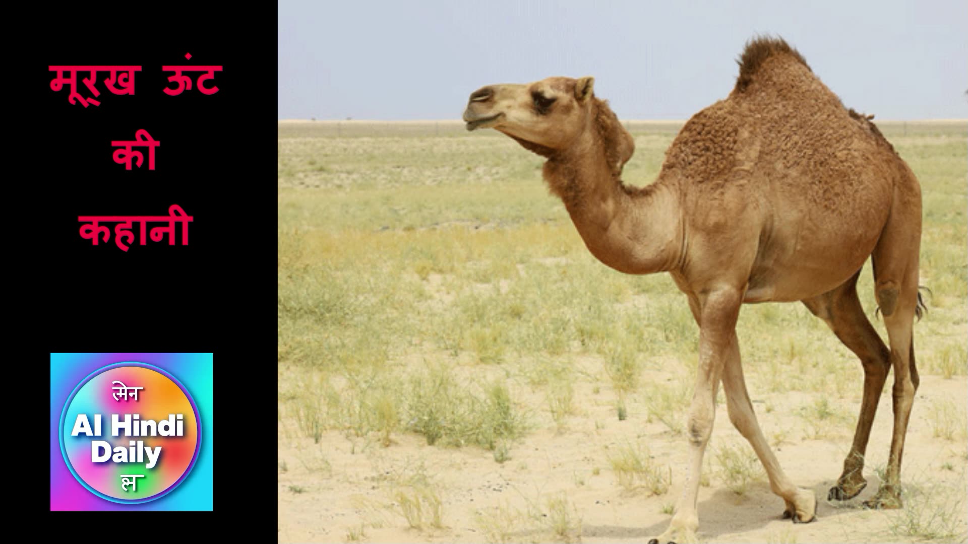 मूर्ख ऊंट की कहानी