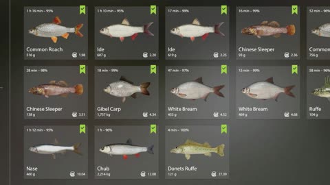 Donets Ruffe | Winding Rivulet | RF4