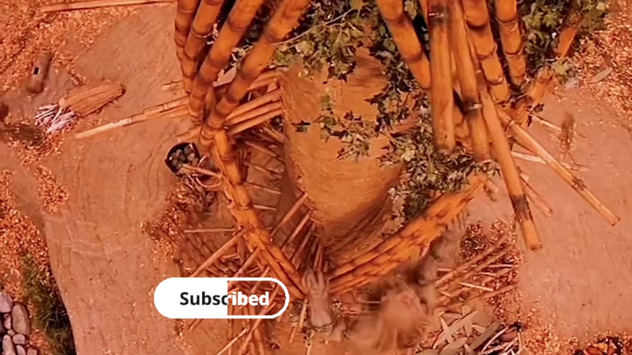 Movies explained video