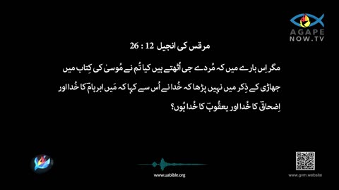 Gospel of Mark Chap 12 in Urdu Bible | مرقس کی انجیل | Marcus Ki Injeel | Gospel of Mark Urdu