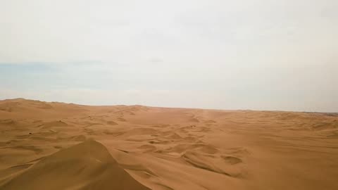 Meditation in the Desert