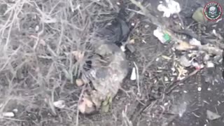 RUSSIAN UKRAINIAN WAR