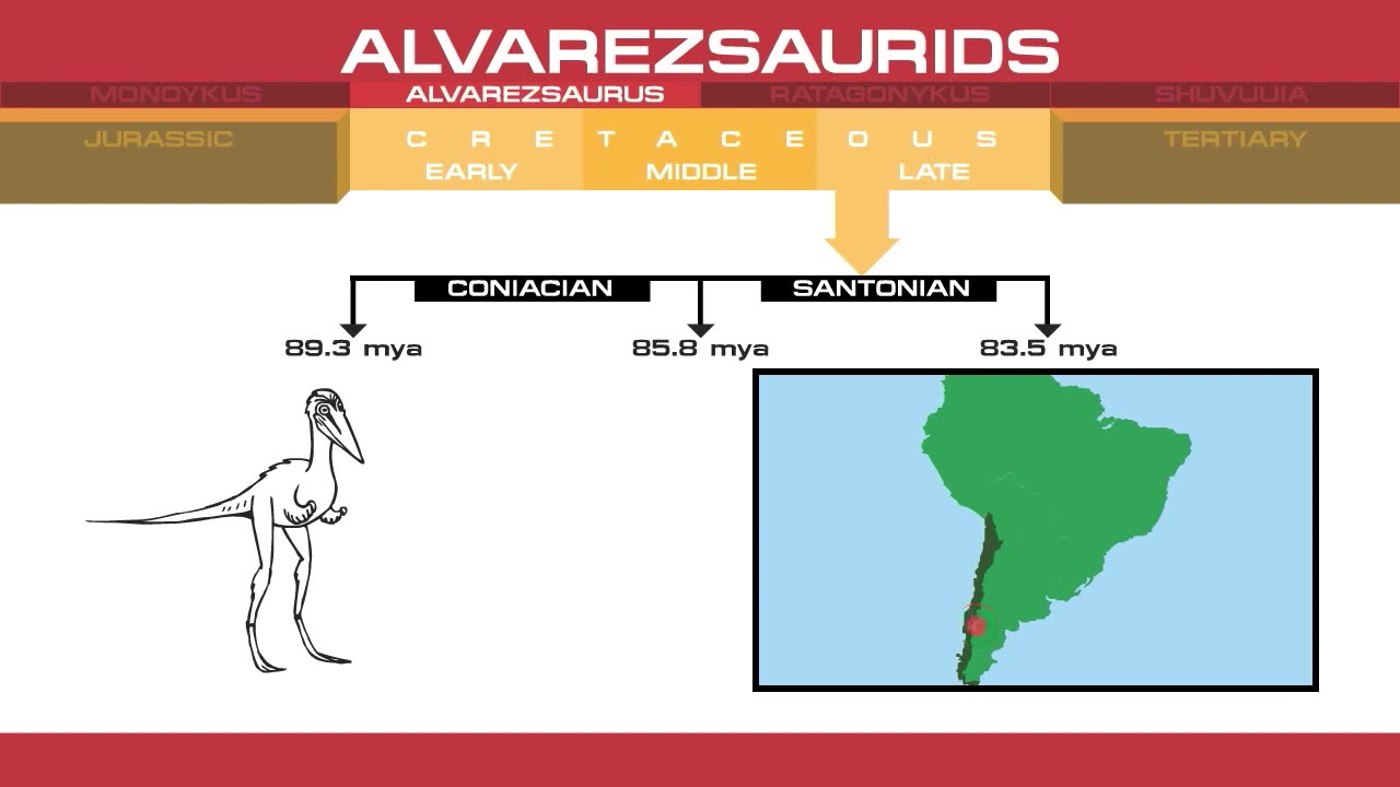 ALVAREZSAURUS