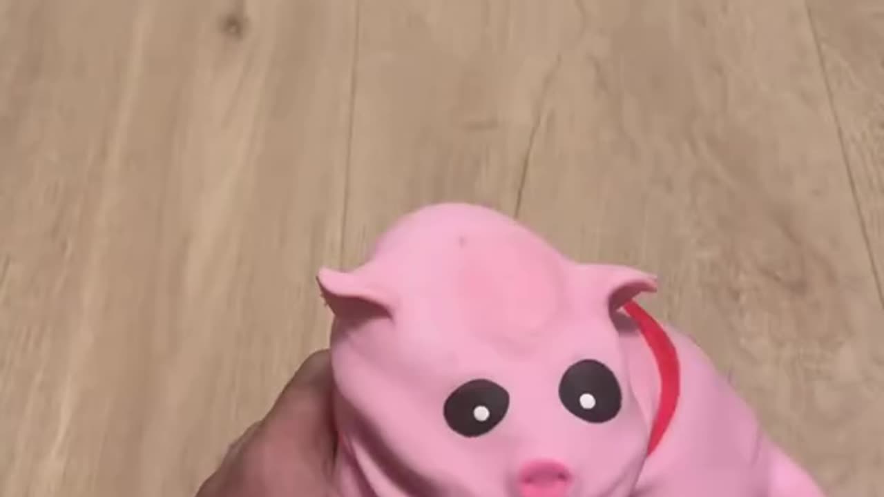 Funny