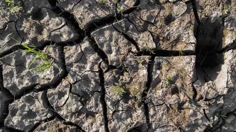 Transforming Farming: A Shift Toward Hyperlocal Food Production