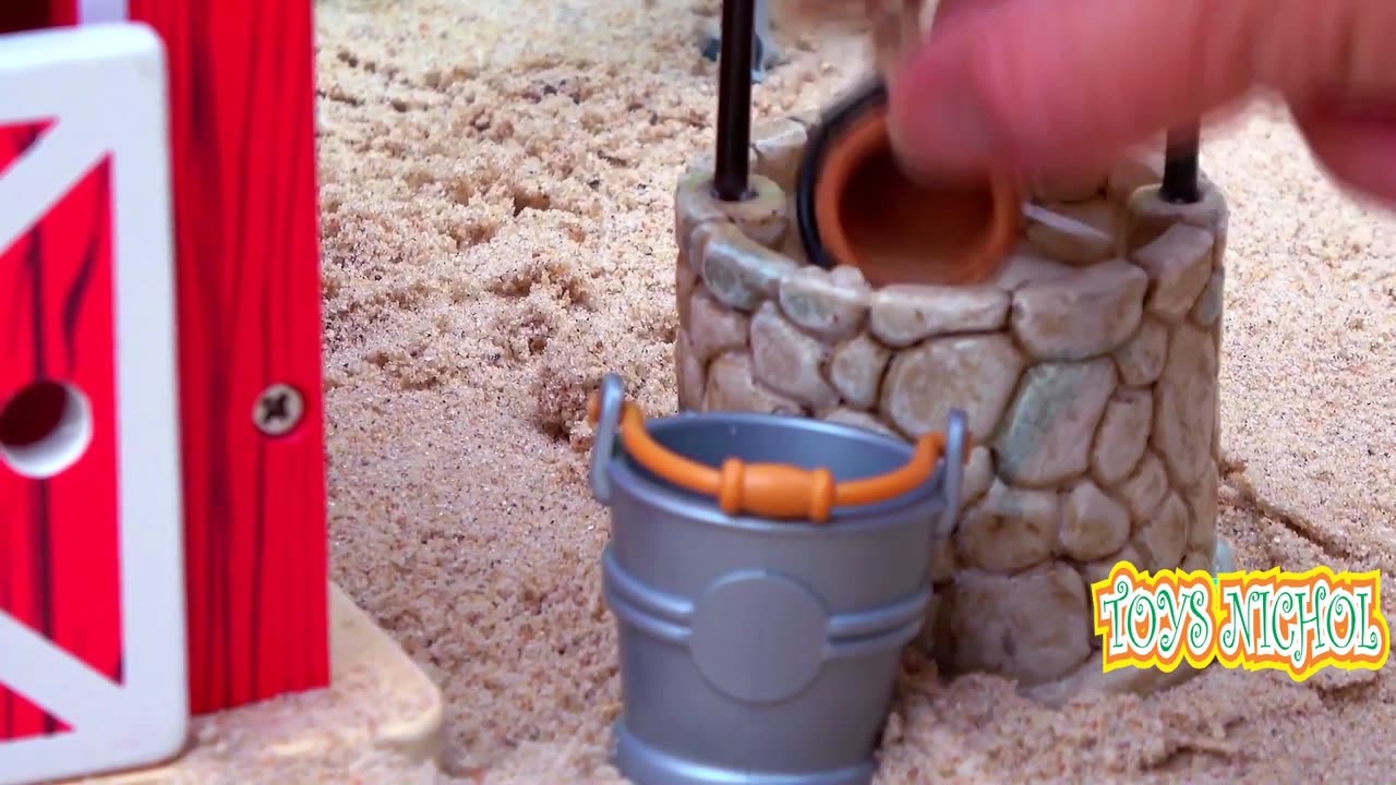 Taking Water from Well for Ducks and Geese to Drink