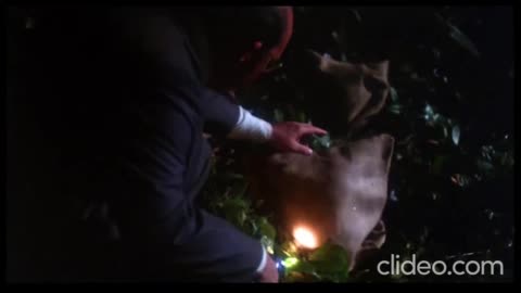 Yeat - Nother league (Unreleased) VIDEO