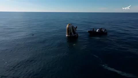 Pod of dolphins surround SpaceX capsule.