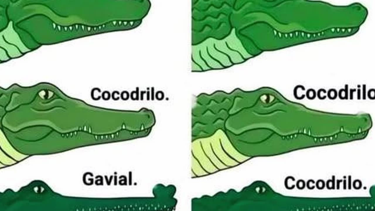 Reptiles del orden Crocodylia