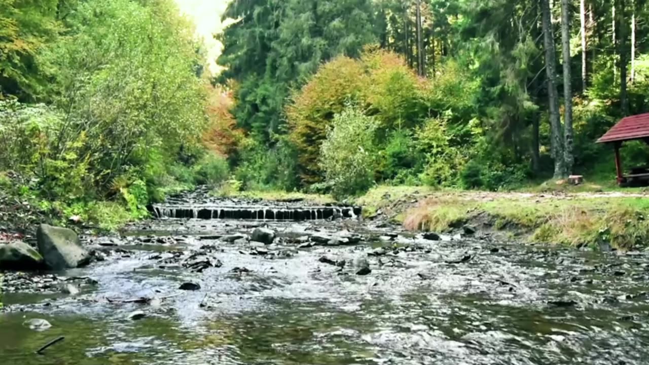 Indie Classical Reading Room