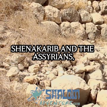The Siege of Lakish: A Biblical City Under Attack | Rabbi Jeff Zaremsky #Shorts #RabbiJeffZaremsky