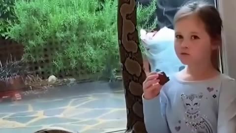Rescue a python