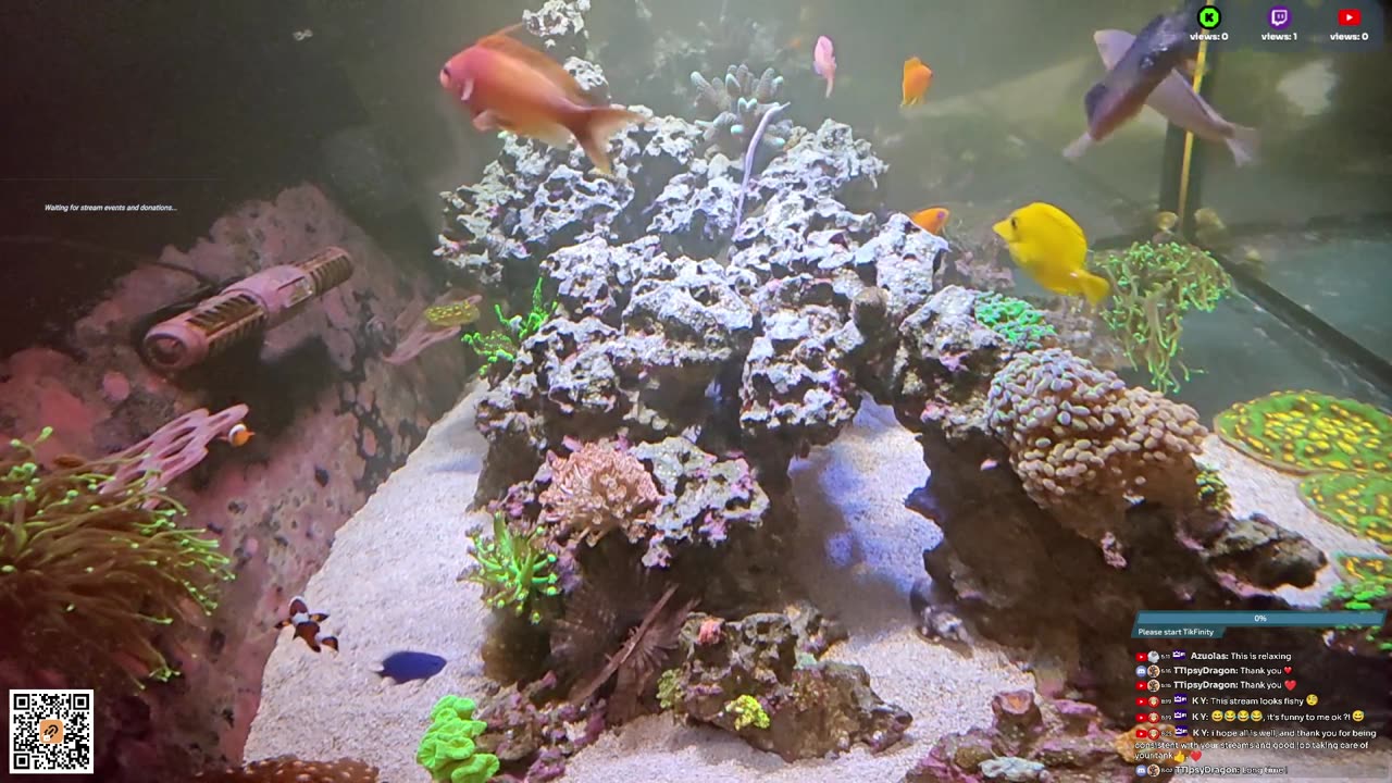 24/7 Real Live Reef Stream