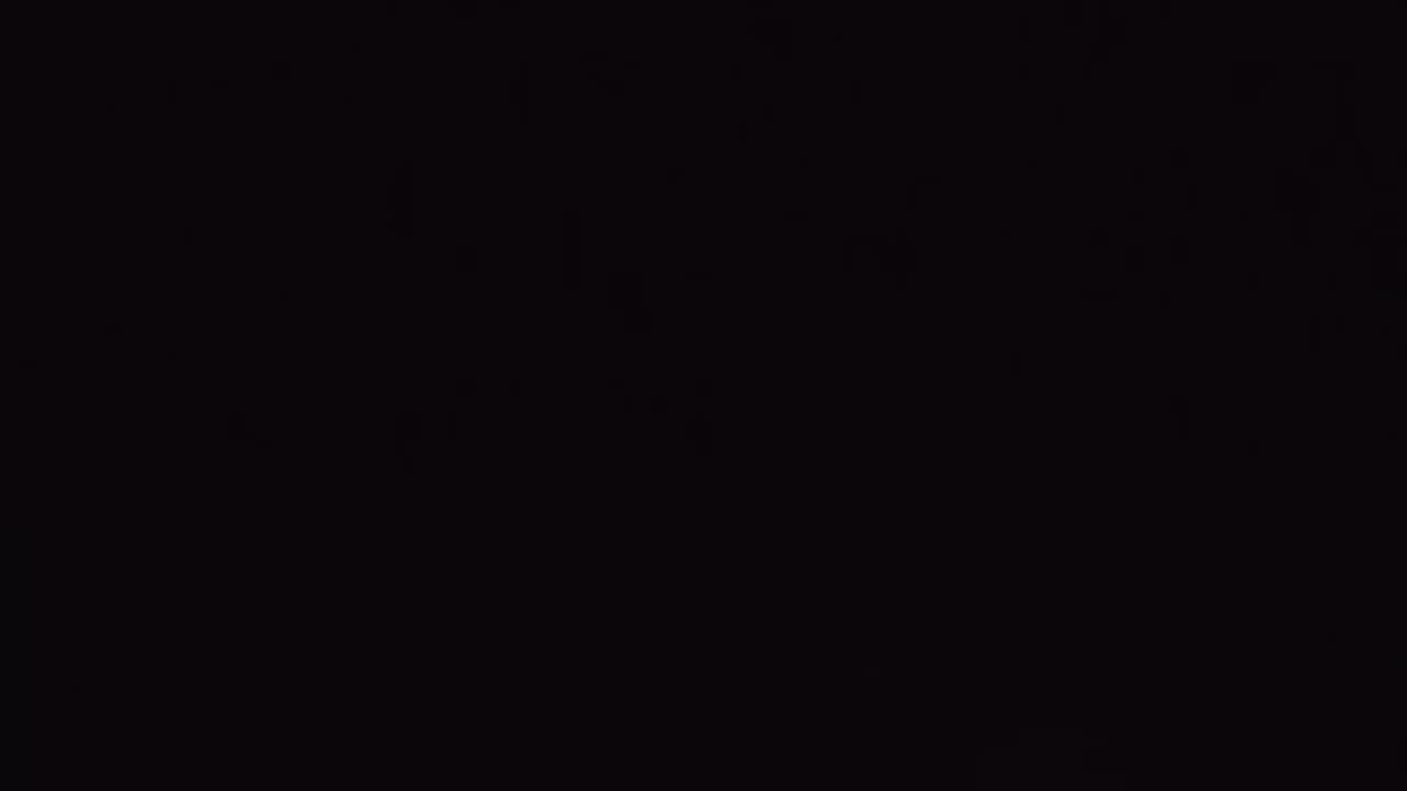 hipster hitler {audio only)