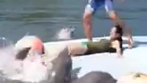 This Video is purely for Educational PORPOISES