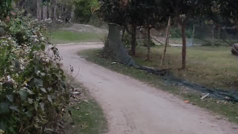 Muddy Village Road
